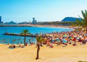 Best Restaurants by the Beach in Barcelona