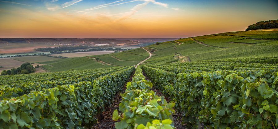 Where to Stay in Champagne France