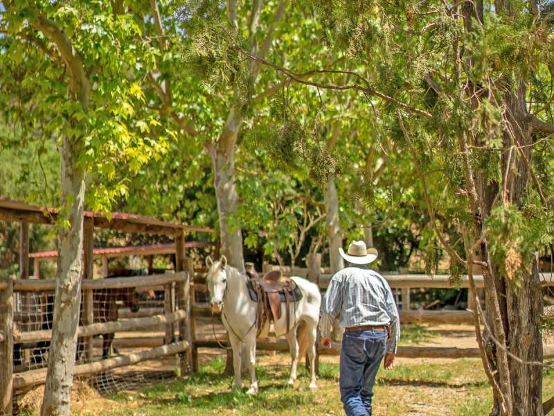 horse ranch