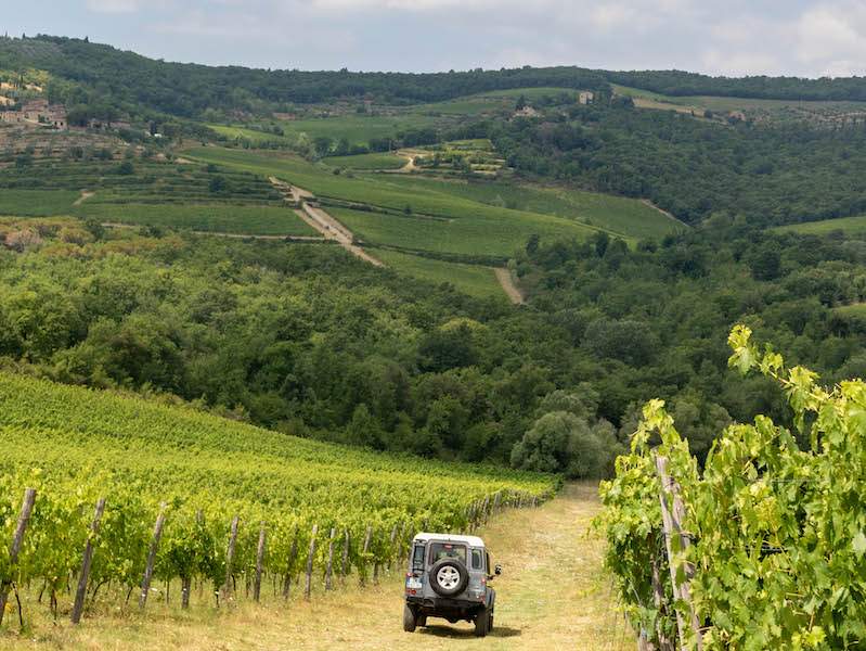 Jeep driving through vineyard