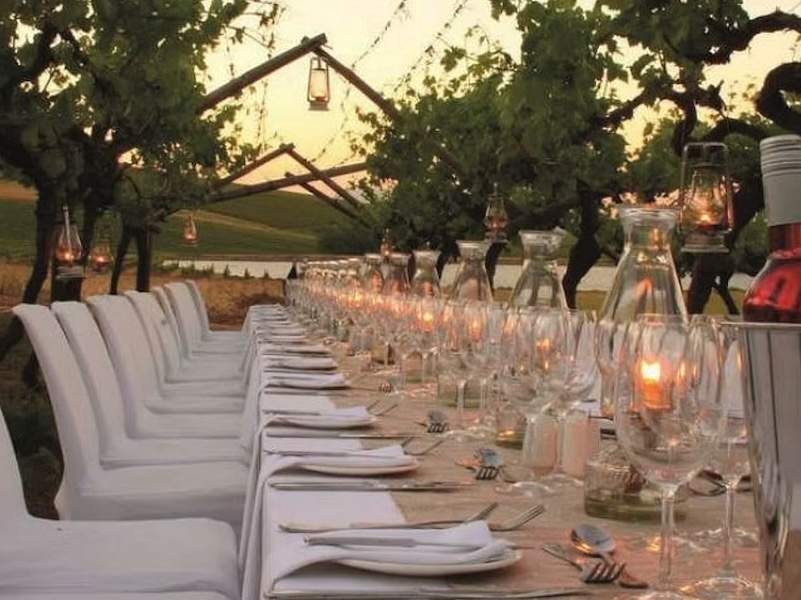 Table set for dinner in a vineyard