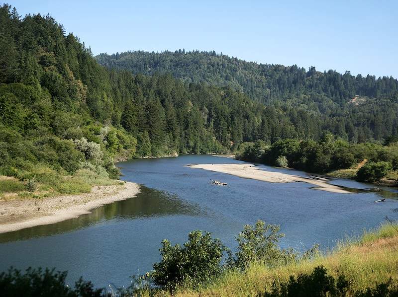 River flowing through redwood forest