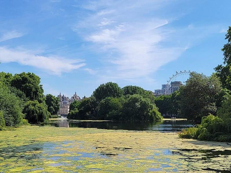 An image of St. James Park in London with The London Eye in the background.