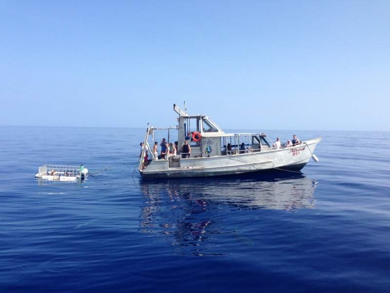 Boat and cage side view