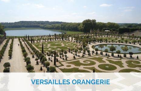 Palace of Versailles Tours