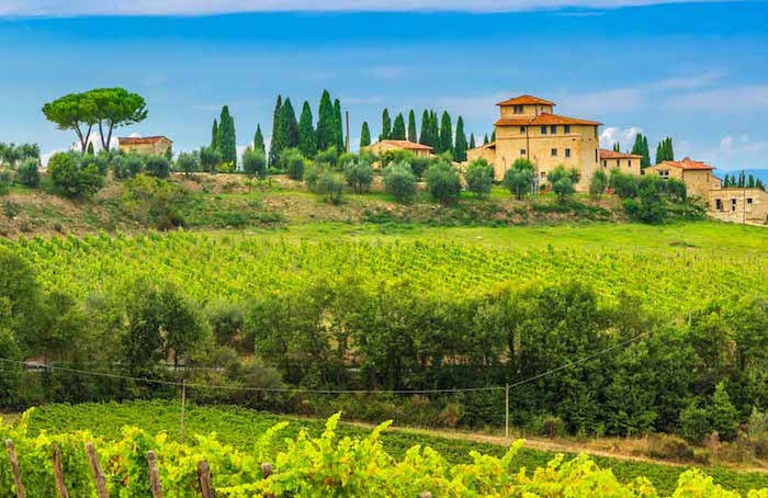 Chianti wine tuscany