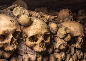 Visiting the Paris Catacombs in 2024: Tickets, Hours, Tours, and More