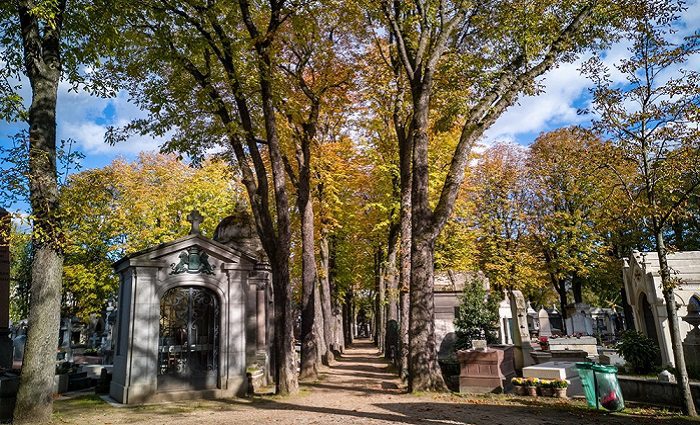 trees and tombs in passy cemetery