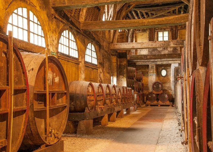 Row of oak barrels for French cider in Calvados distillery, Normandy