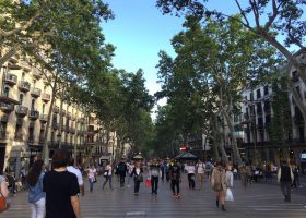 Top 10 Things to See in Barcelona