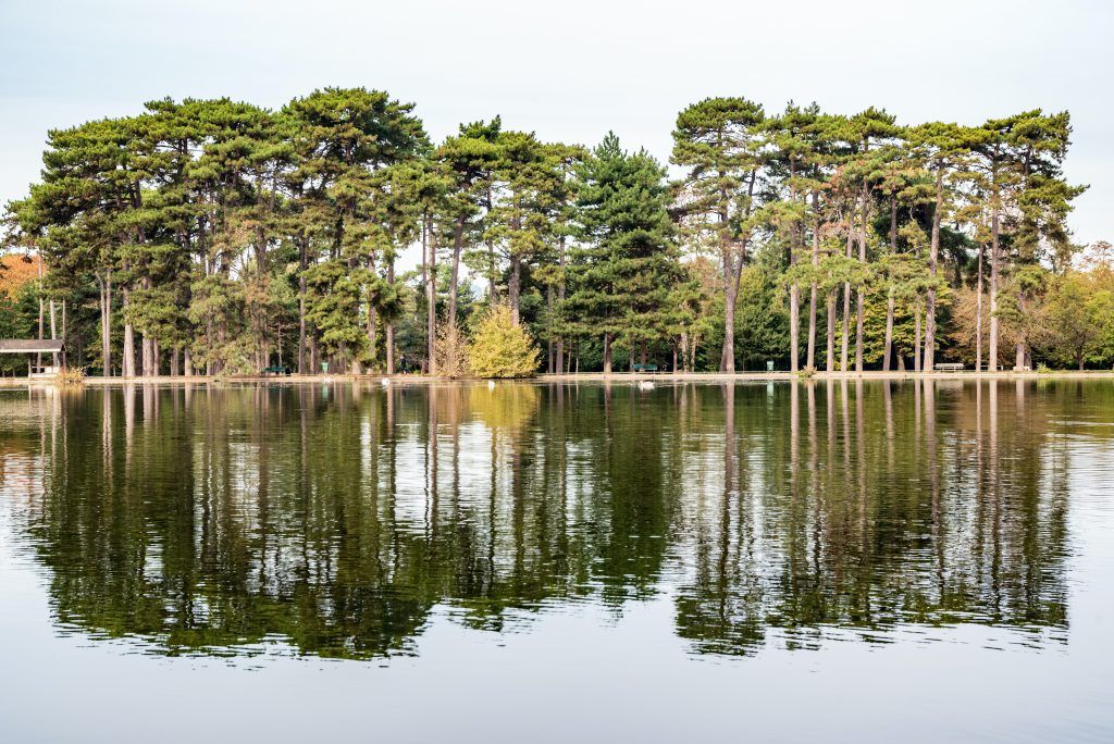 free gardens to visit in paris