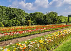 Best Free "Stroll-Worthy" Gardens & Parks in Paris