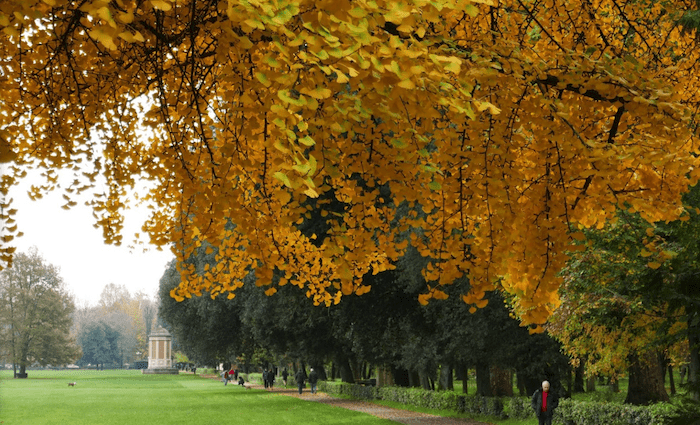 Parco delle Cascine Florence Parks