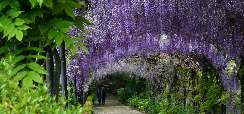 Bardini Gardens Florence Italy