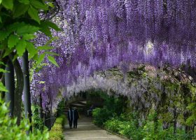 Florence's 6 Best Gardens & Parks