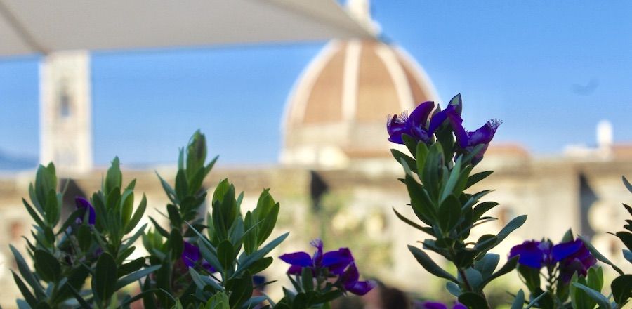 Florence Italy The Tour Guy