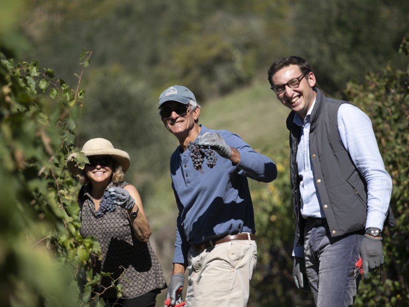 Family picking grapes at Borgo Casa al Vento.