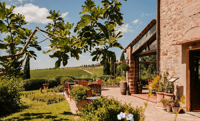 vineyard tours in tuscany