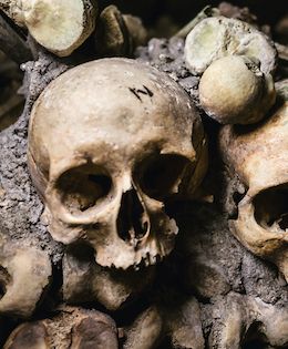 Paris Catacombs Tickets, Hours, Tours & More!