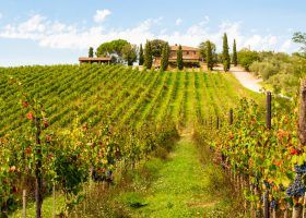 Tips for Traveling to Tuscany