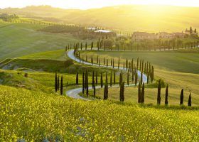 7 Dreamy Vineyards with Accommodation in Tuscany