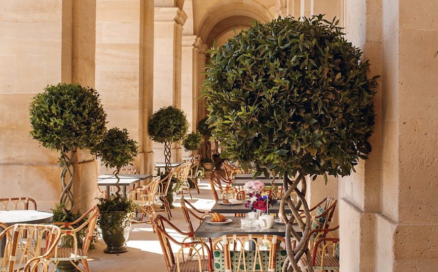 Bentwood chairs with tables next to trimmed trees.