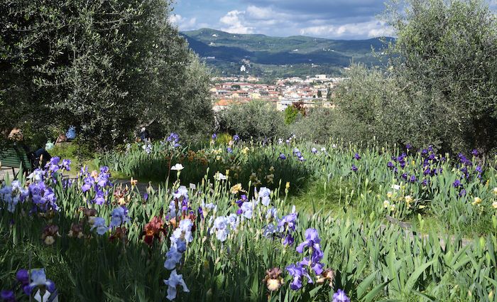 florence italy travel youtube