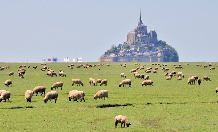 Baie du Mont-Saint-Michel