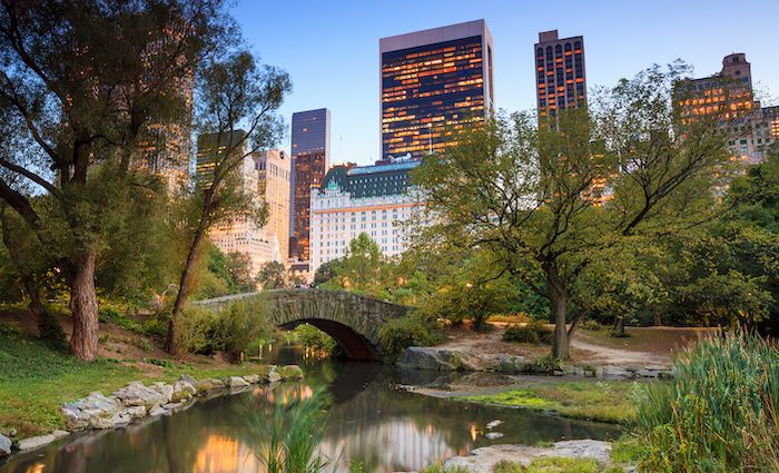 Top Things to see central park Gapstow bridge