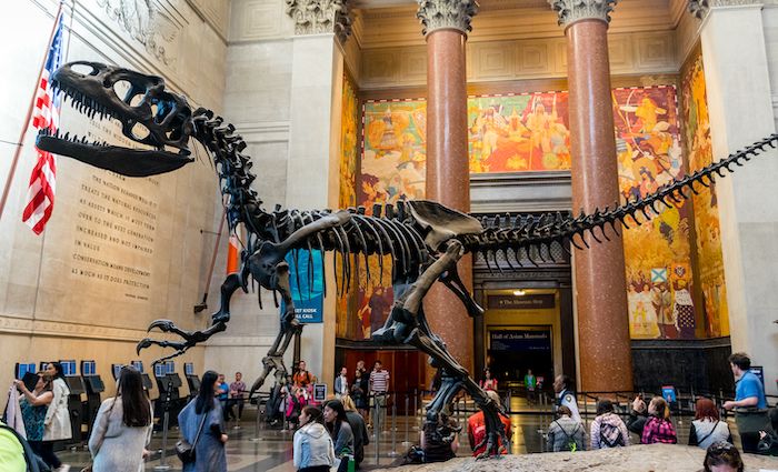 85 Best Attractions in New York for 2024