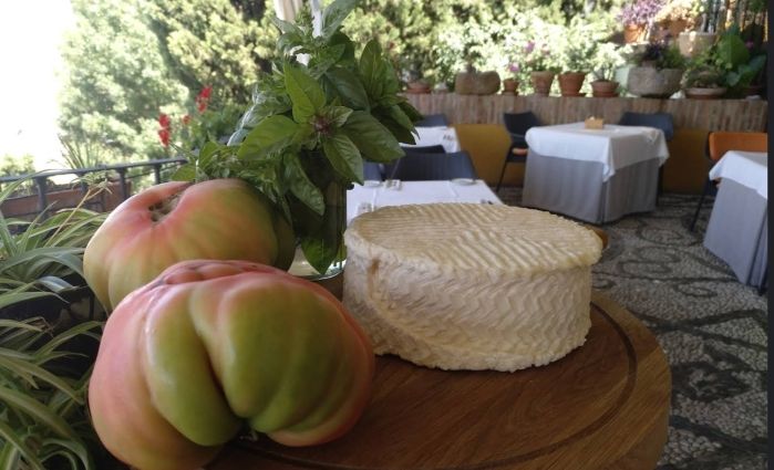 Fresh local tomatoes and cheese