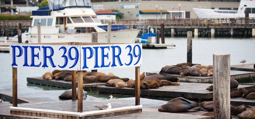 Best restaurants near fisherman's wharf in San Francisco