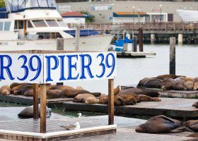 10 BEST RESTAURANTS Near FISHERMAN'S WHARF in San Francisco for 2022
