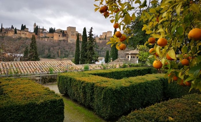 View of the Alhambra from the Carmen de la Casa del Chapiz