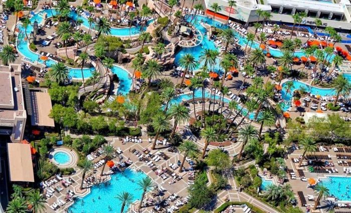 Paris Las Vegas Pool: Quiet Paradise With Eiffel Tower Views