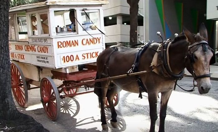 Roman Candy Company things to do new orleans