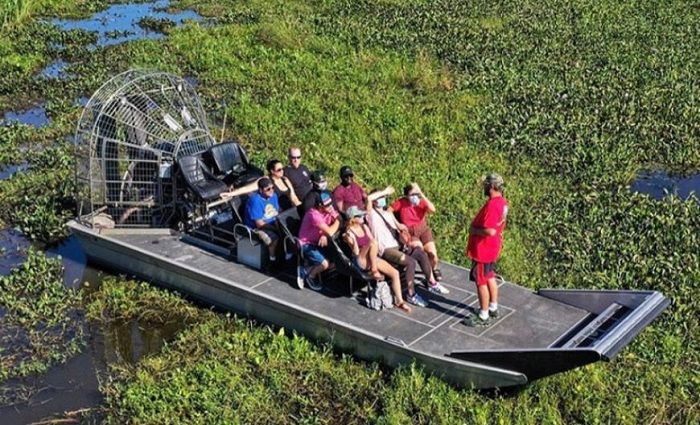 Swamp Tour things to do new orleans