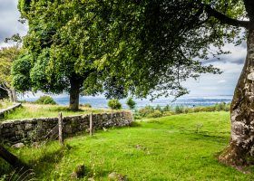Amazing Countryside Hotels near DUBLIN for 2022