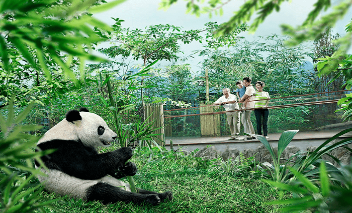 singapore travel spot