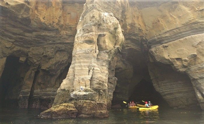 La Jolla cove day trip from LA