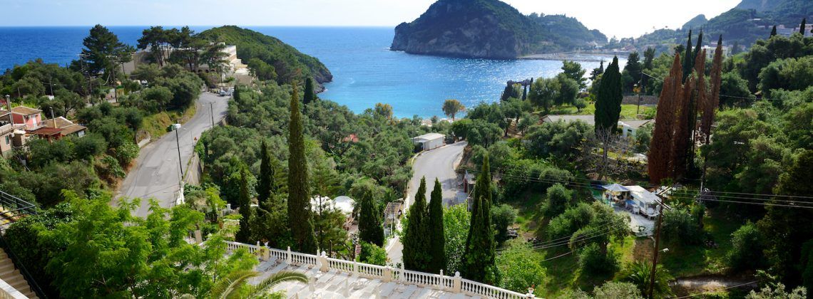 trees with the ocean in the background