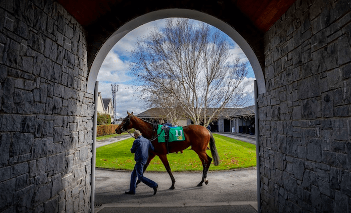 tourist attractions near dublin