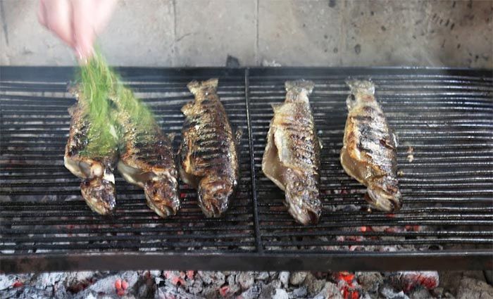 Grilled Fish Top Foods to Try Dubrovnik
