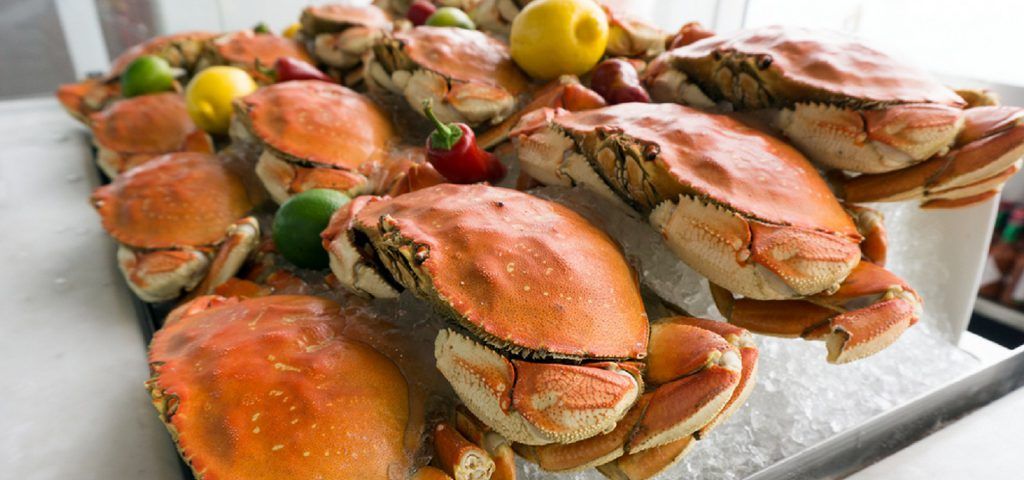 Fresh dungeness crab on ice