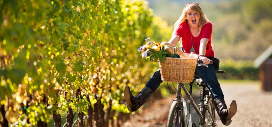 top things to do in napa valley