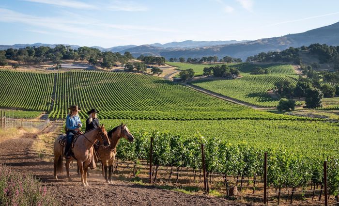 best things to do in napa valley