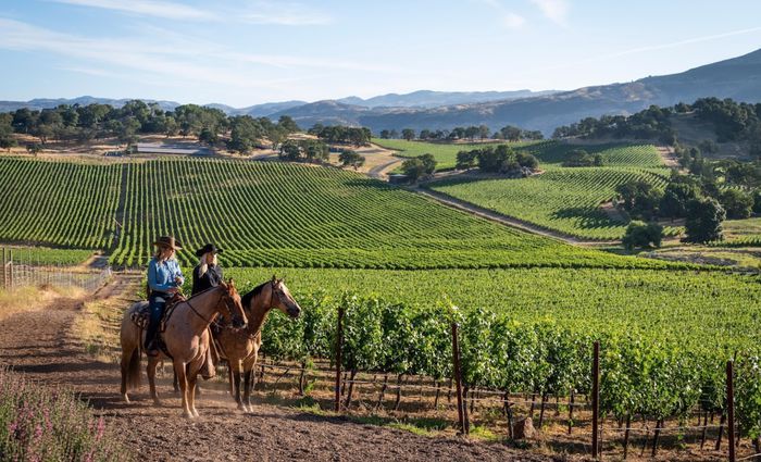 The Top 13 Things To Do in Napa Valley in 2024