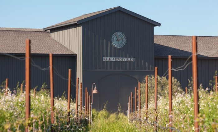 The Top 11 Wineries in Napa Valley in 2024