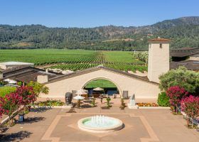 The Top 11 Wineries in Napa Valley in 2023