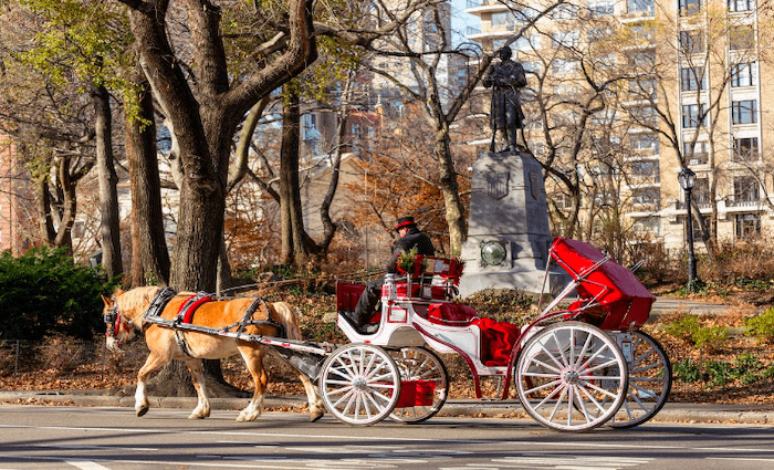 It's been a New York minute since our class in Central Park but we are  still riding HIGH. We would love to teach a class in your city……